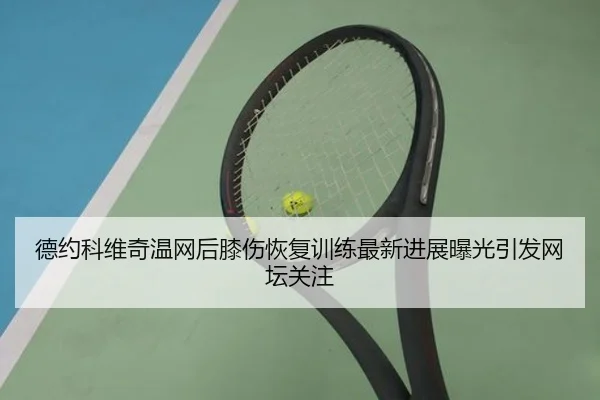 德约科维奇温网后膝伤恢复训练最新进展曝光引发网坛关注